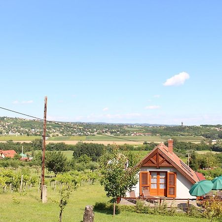 Apartamento Panorama Wine & Chill Hévíz Exterior foto