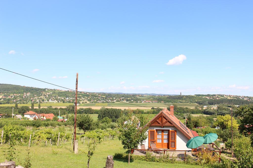 Apartamento Panorama Wine & Chill Hévíz Exterior foto